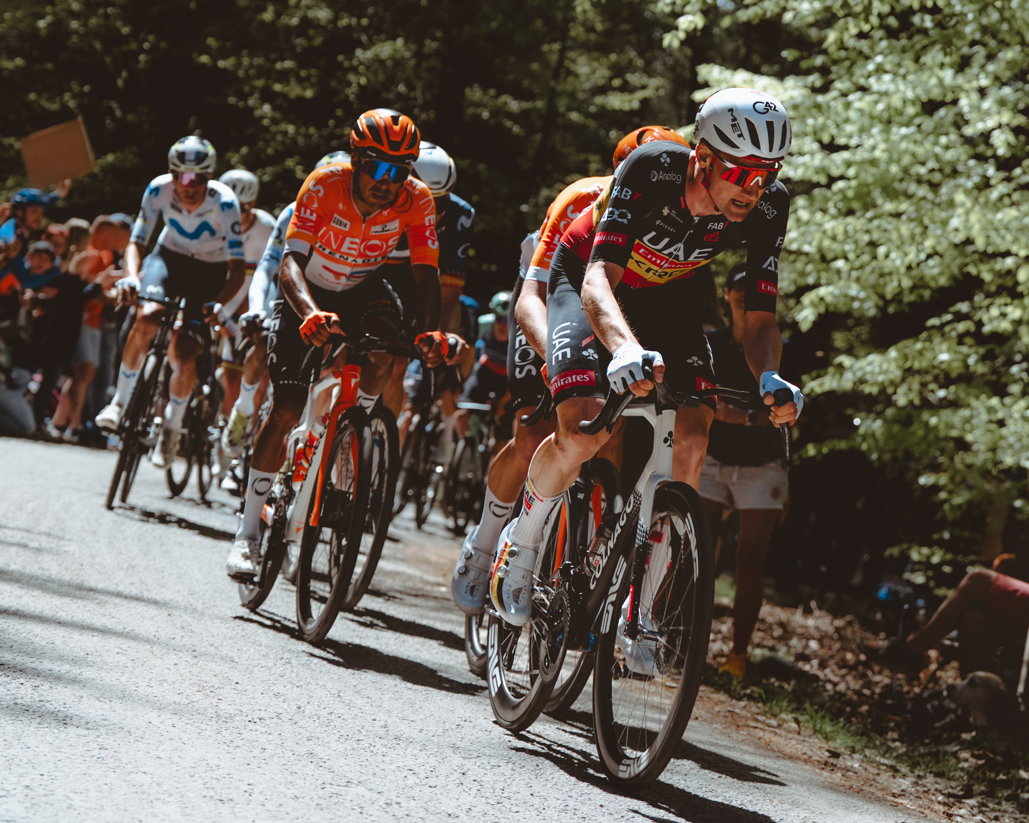 Liège-Bastogne-Liège 2026