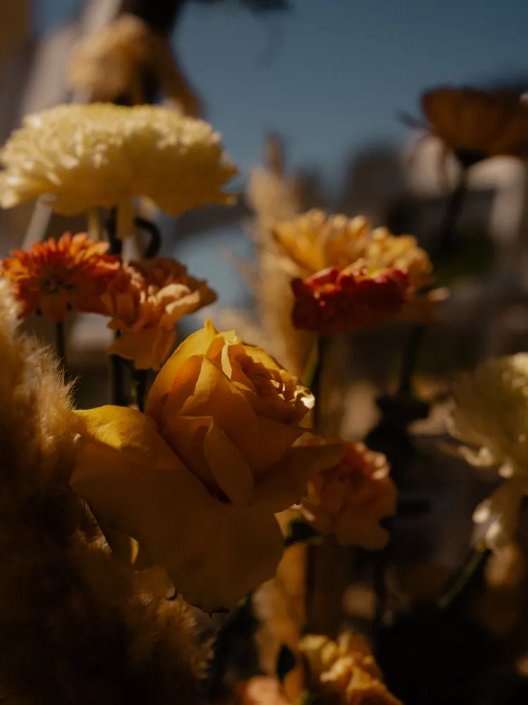 Gele en oranje bloemen in warm tegenlicht